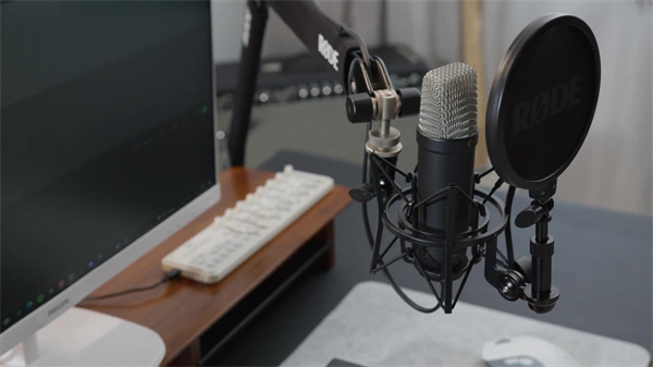 The Ultimate Studio Microphone Features and Specifications of the NT1 5th Generation_Moment.jpg